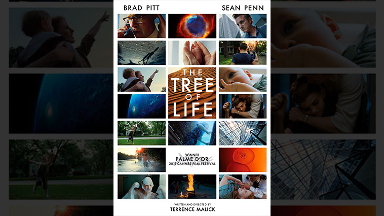 the tree of life