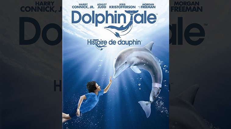 Dolphin Tale
