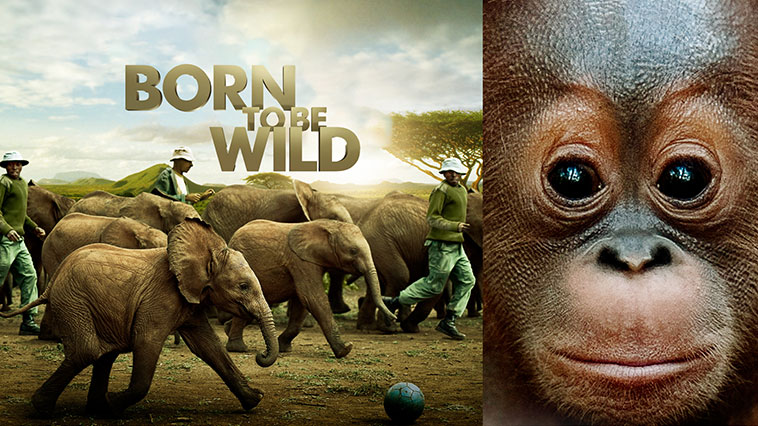 born to be wild